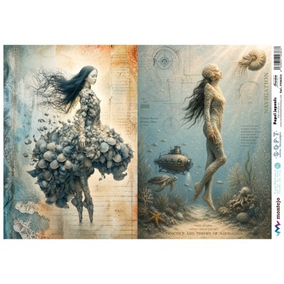 Arte digital com figuras femininas formadas por conchas e elementos marinhos em fundo azul acinzentado