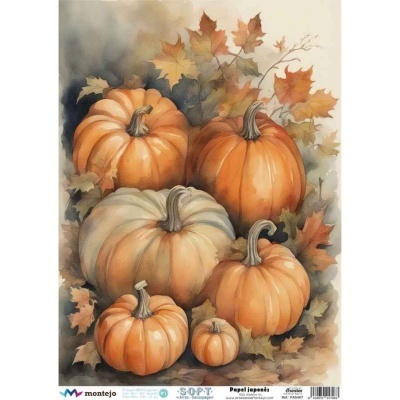 Abóboras e folhas de outono