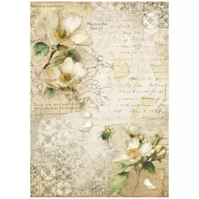 Desenho artístico de flores brancas Manzanita Berry com folhas verdes e escaravelho verde em fundo decorativo com padrões e texto manuscrito.