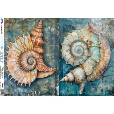 Duas conchas marinhas decorativas coloridas sobre fundo azul com padrões abstratos