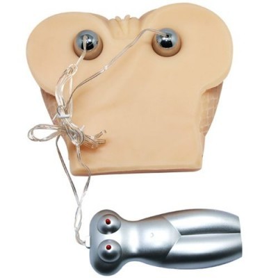 Modelo anatómico de silicone bege com ímanes e controlador prateado