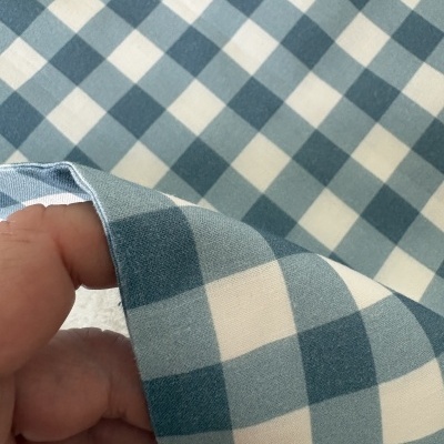 Tecido de padrão xadrez azul e branco segurado por uma mão.