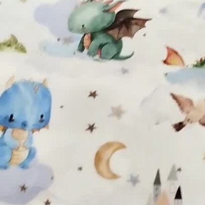 Tecido dragões, fundo branco