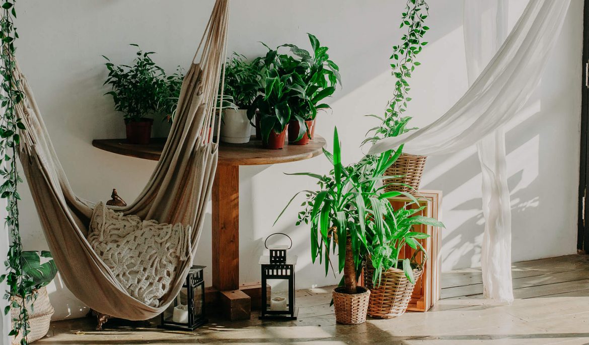 decora&ccedil;&atilde;o zen