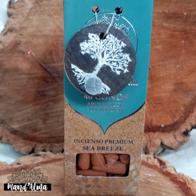Embalagem de incenso premium Sea Breeze com suporte e cones visíveis