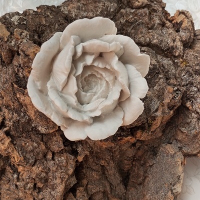 Flor cerâmica branca sobre casca de árvore castanha com fundo em tecido branco