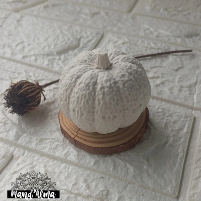 abóbora decorativa branca sobre base de madeira com flor seca e fundo branco texturizado