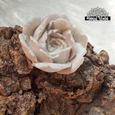 Flor decorativa branca sobre casca de árvore com logo 'Manda Alana'