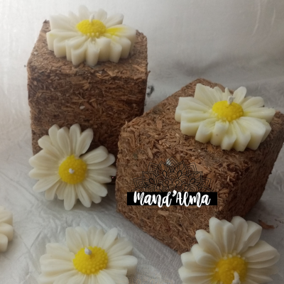 Flores decorativas em forma de margarida de cera sobre blocos de fibras naturais.
