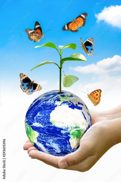 Mãos segurando globo terrestre com planta e borboletas ao redor
