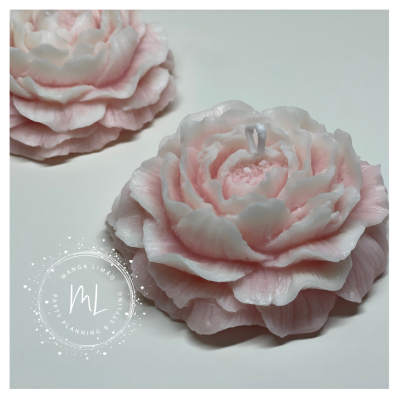 Vela em forma de flor cor-de-rosa em superfície branca com logo MANGA LIMÃO