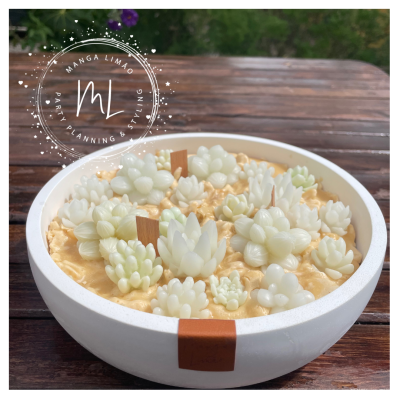 Conjunto de velas brancas em forma de suculentas numa base branca sobre mesa de madeira