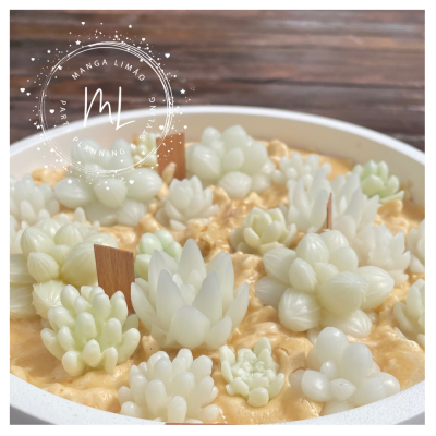 Velas em forma de suculentas brancas em prato branco sobre mesa de madeira