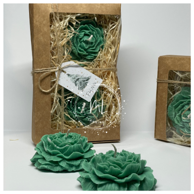 Velas verdes em forma de flores, embaladas em caixa de cartão com janela transparente e palha decorativa.