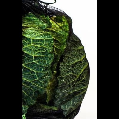 Couve verde em saco de rede preta