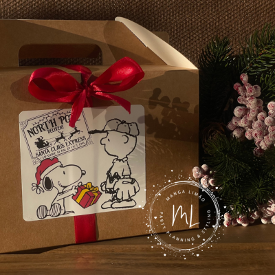 Caixa de cartão castanha com fita vermelha e etiqueta de Natal com Snoopy e Woodstock