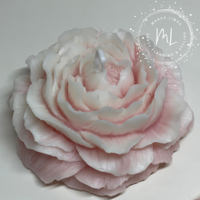 Vela decorativa em forma de flor rosa e branca sobre fundo branco com logo MANGA LIMÃO