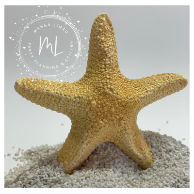 Estrela do mar natural sobre pequenas pedras brancas