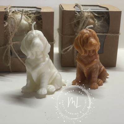 Velas em forma de cão em branco e castanho com caixas de cartão e corda de juta