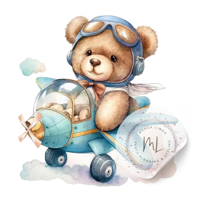 Ursinho com capacete azul num avião de brinquedo azul