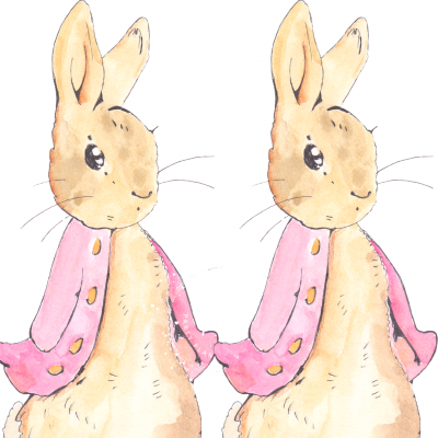 Ilustração de dois coelhos idênticos com capa rosa e botões amarelos