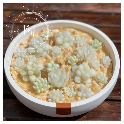 Suculentas artificiais brancas numa base redonda branca com interior bege