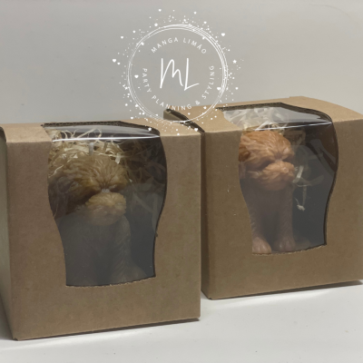 Dois bonecos de cães em caixas de papelão com janela transparente