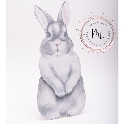 Cartaz de coelho cinzento e branco com marca d'água de uma empresa de organização de festas