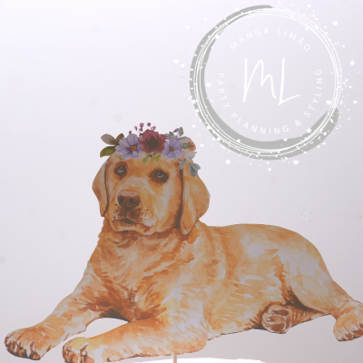 Cão de pelagem castanha clara com coroa de flores sobre fundo branco e logo manga limão.