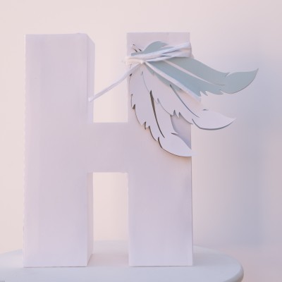 Letra decorativa branca H com penas brancas