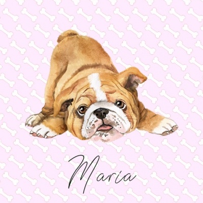 Ilustração de buldogue sobre fundo rosa com padrão de ossos e nome Maria