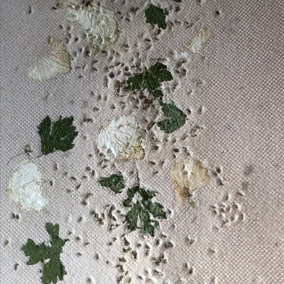 tecido bordado com folhas verdes e motivos florais em bege e branco