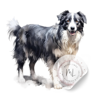 Cão com pelagem preta, cinza e branca em fundo branco com selo circular translúcido