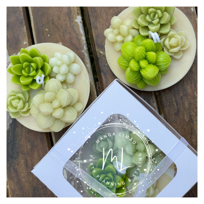 Velas decorativas de suculentas verdes, brancas e creme em bases redondas e caixa branca com selo MANGA LIMÃO sobre mesa de madeira.