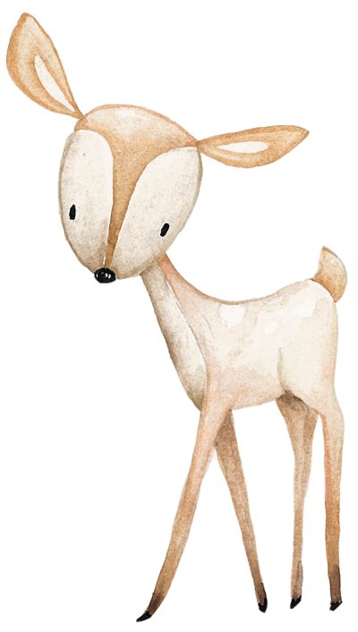 Ilustração aguarela de veado bebé