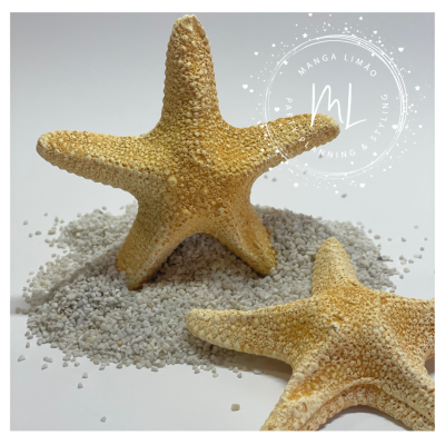 Duas estrelas-do-mar decorativas amarelas sobre pedras brancas