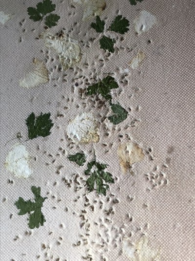 tecido bordado com folhas verdes e motivos florais em bege e branco