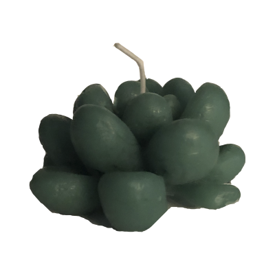 Vela decorativa verde em forma de planta suculenta