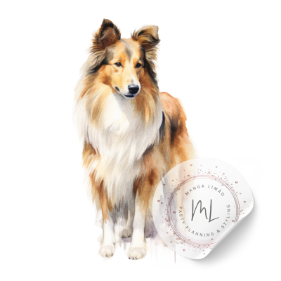 Cão collie com selo branco de marcação