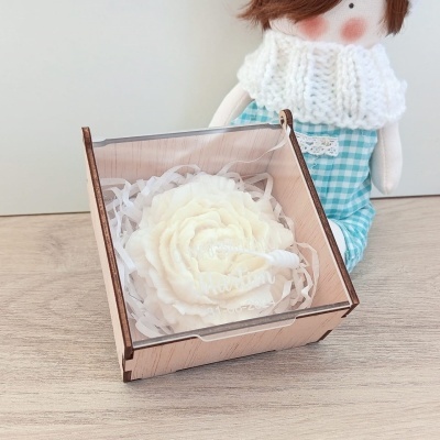 Caixa de madeira com tampa transparente contendo flor branca artificial e boneca de pano ao fundo