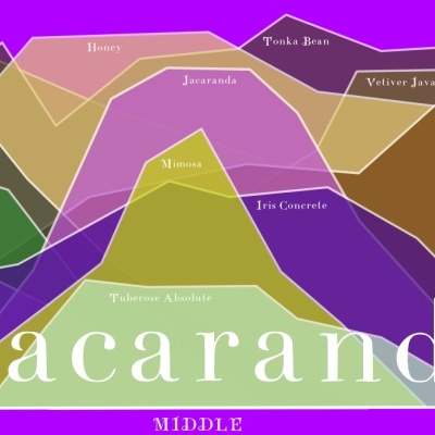 Colorful fragrance note chart with overlapping shapes and Jacaranda text