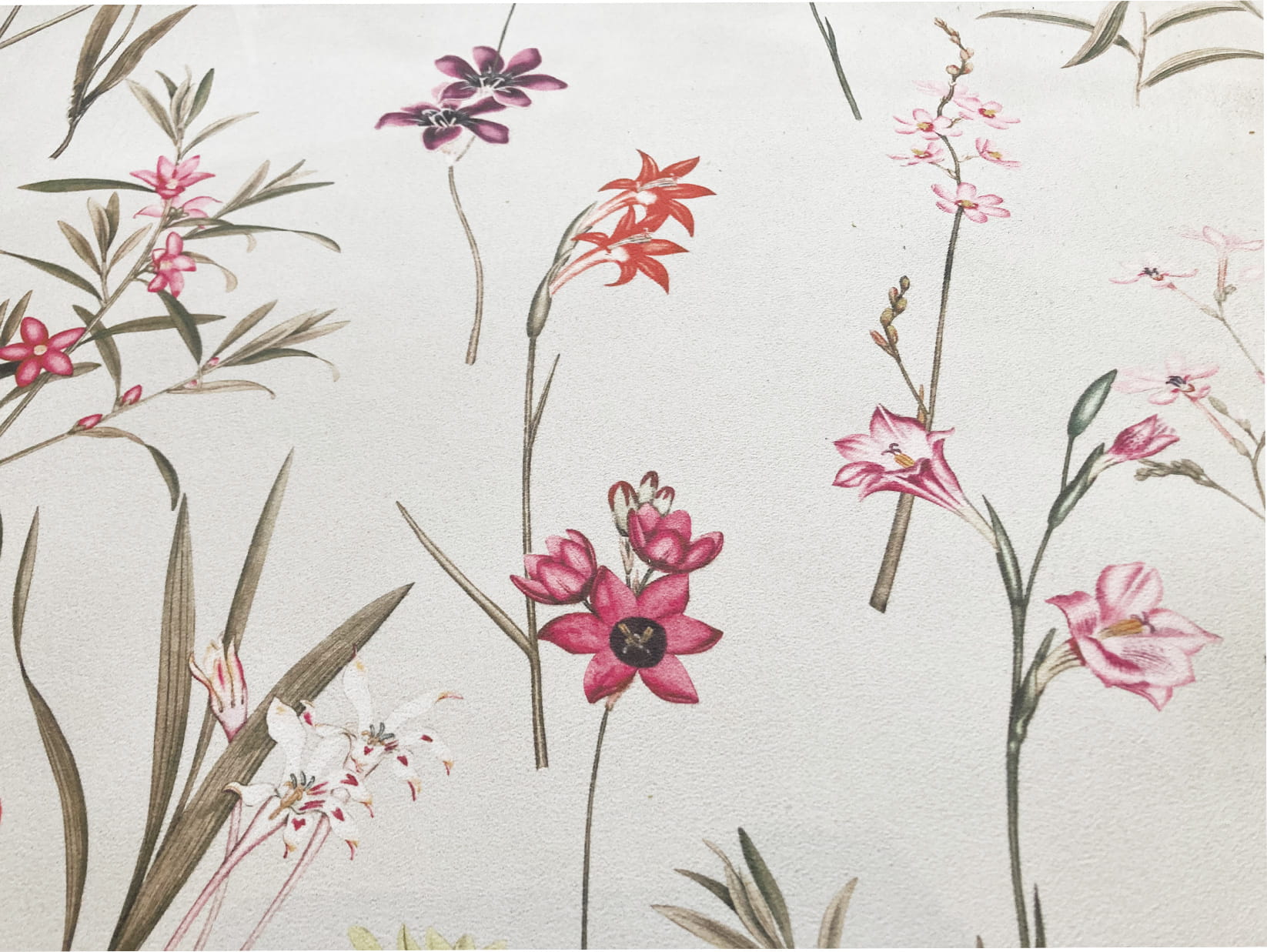 Tapete Grande ECO Jardim de Flores Padrão floral com flores rosa, vermelho e lilás com folhas verdes sobre fundo branco