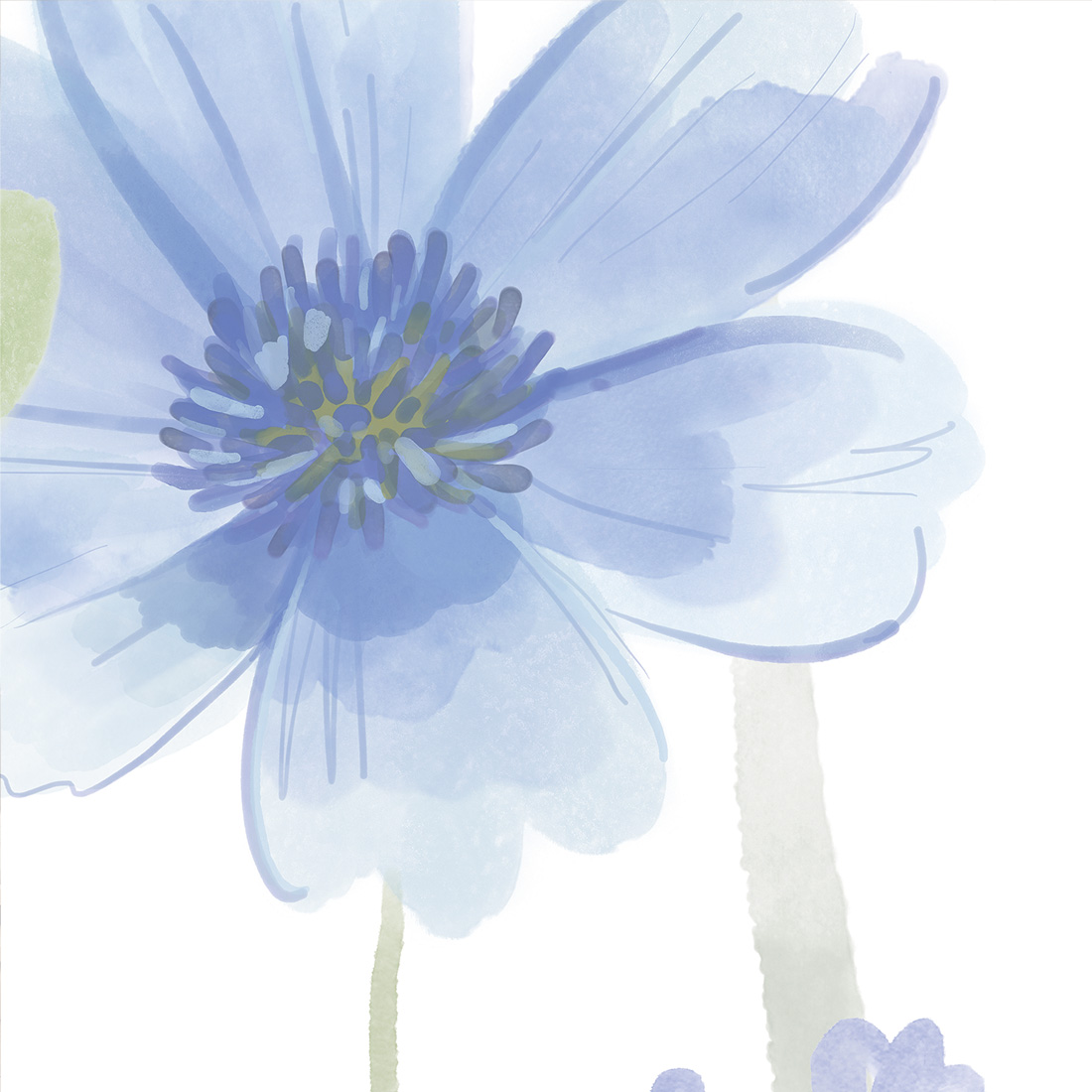 Papel de Parede Infantil Jardim de Primavera Grande Ilustração digital de flor azul com pétalas transparentes em fundo branco