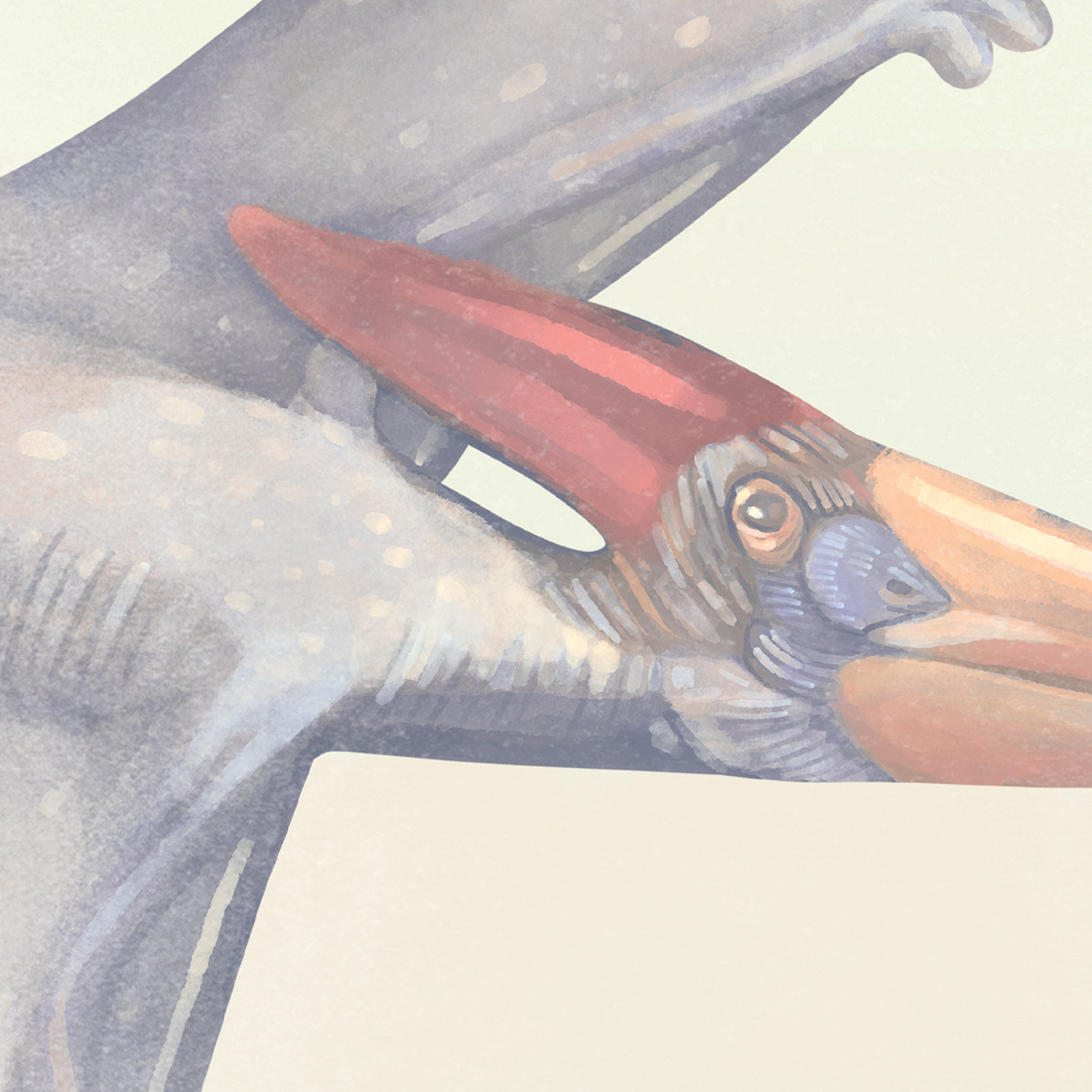 Papel de Parede Infantil Dinossauros Ilustração de pterossauro cinza com bico vermelho