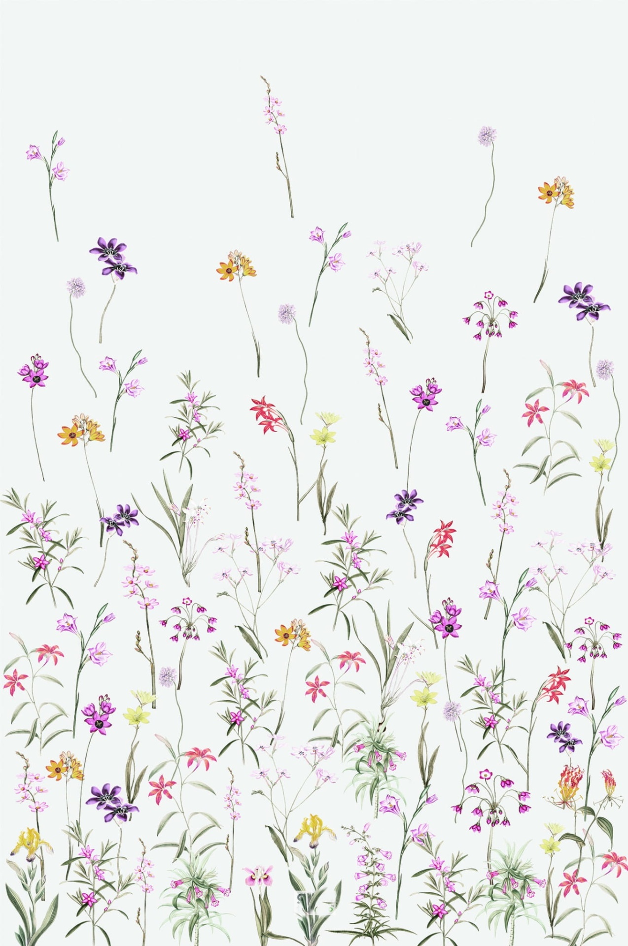 Tapete Grande ECO Jardim de Flores padrão floral com flores pequenas coloridas sobre fundo branco