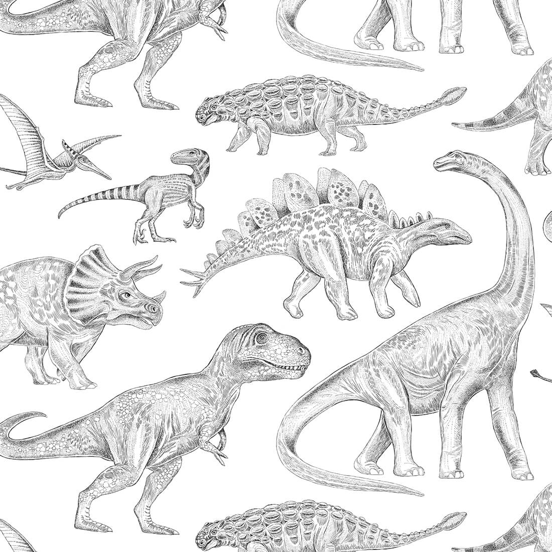 Papel de Parede Dinossauros BRANCO Padrão de dinossauros desenhados a lápis em cinzento com fundo branco