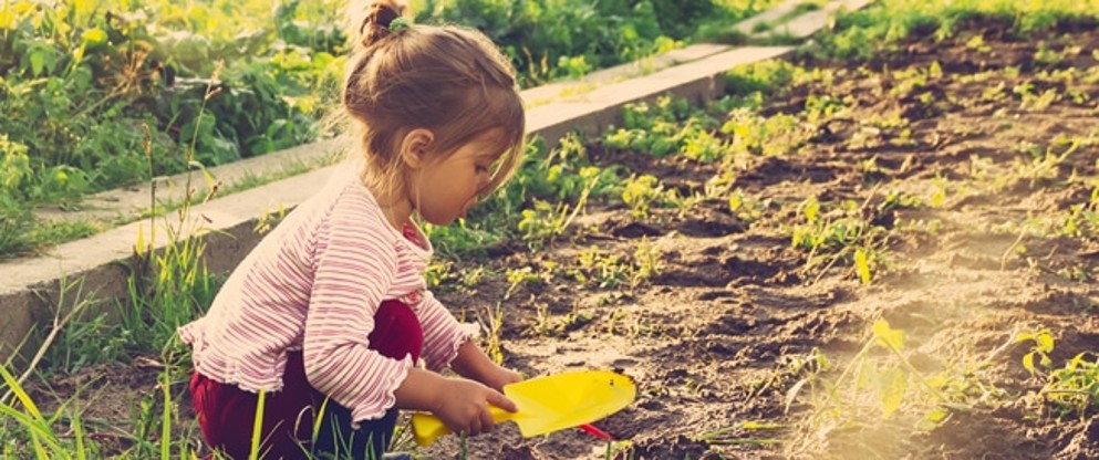 Criança a cavar terra no jardim com pá amarela