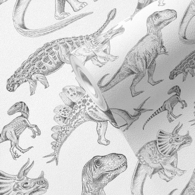 Papel de embrulho preto e branco com desenhos de dinossauros