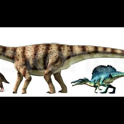 Miniaturas coloridas de dinossauros em fila sobre fundo branco