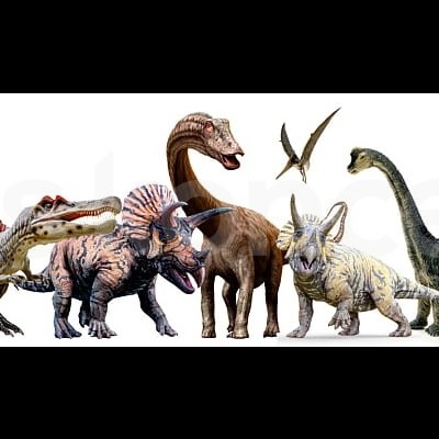 Figuras de dinossauros realistas coloridos em linha